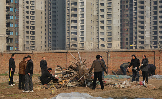 494949最快历史结果app