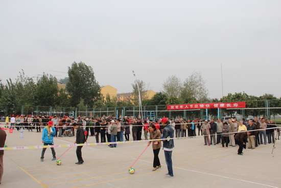 494949最快历史结果app