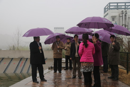 494949最快历史结果app