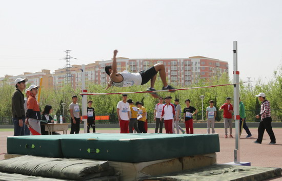 494949最快历史结果app