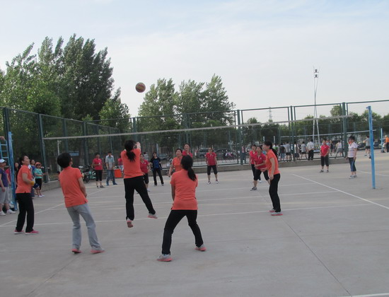 494949最快历史结果app