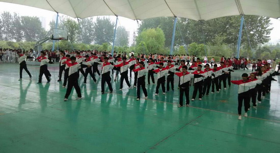 494949最快历史结果app