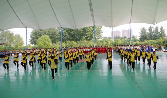 494949最快历史结果app