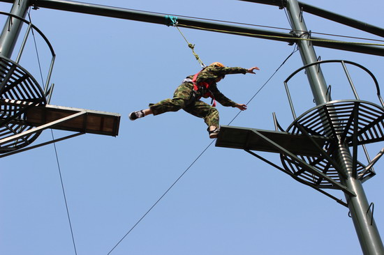 494949最快历史结果app