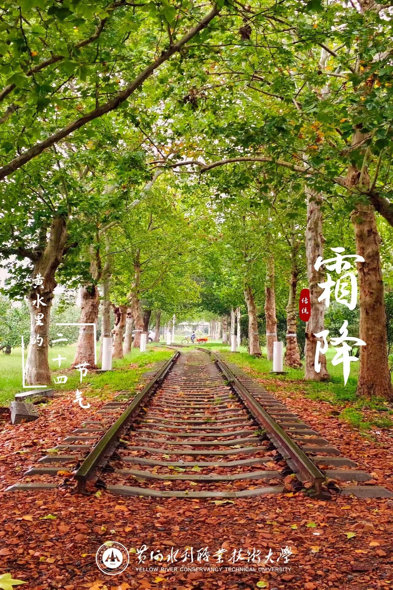 494949最快历史结果app