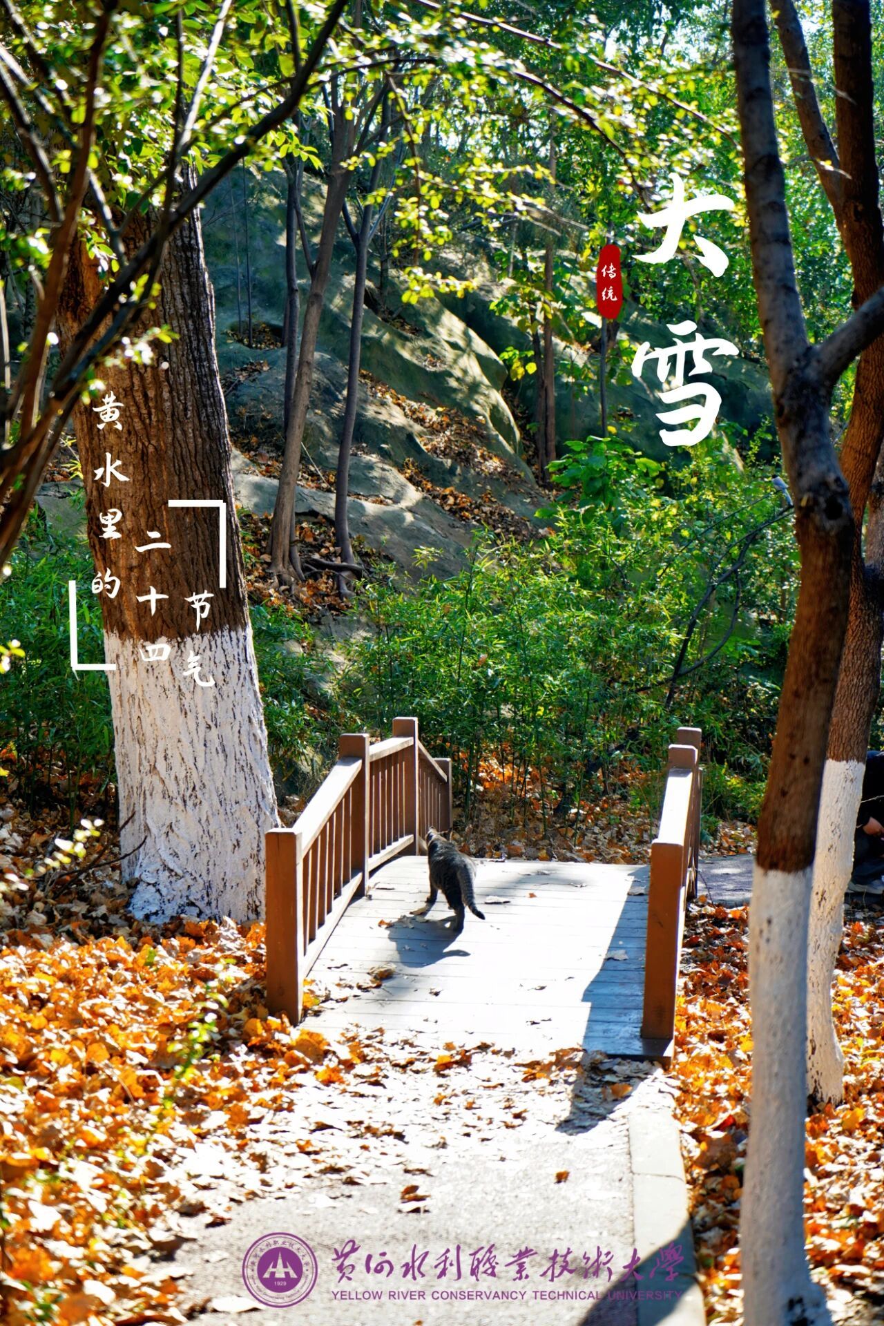 494949最快历史结果app