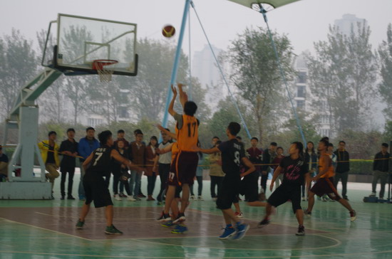 494949最快历史结果app