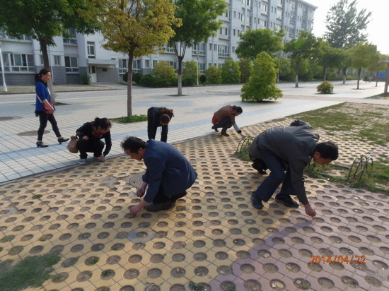 494949最快历史结果app