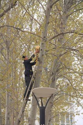 494949最快历史结果app