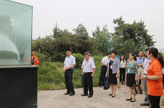 494949最快历史结果app