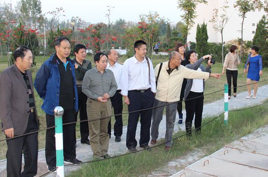 494949最快历史结果app