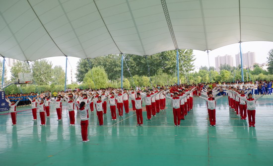 494949最快历史结果app