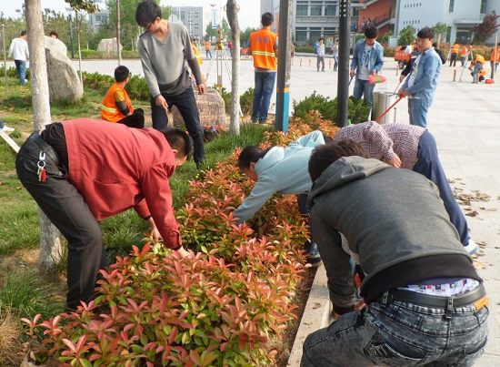 494949最快历史结果app