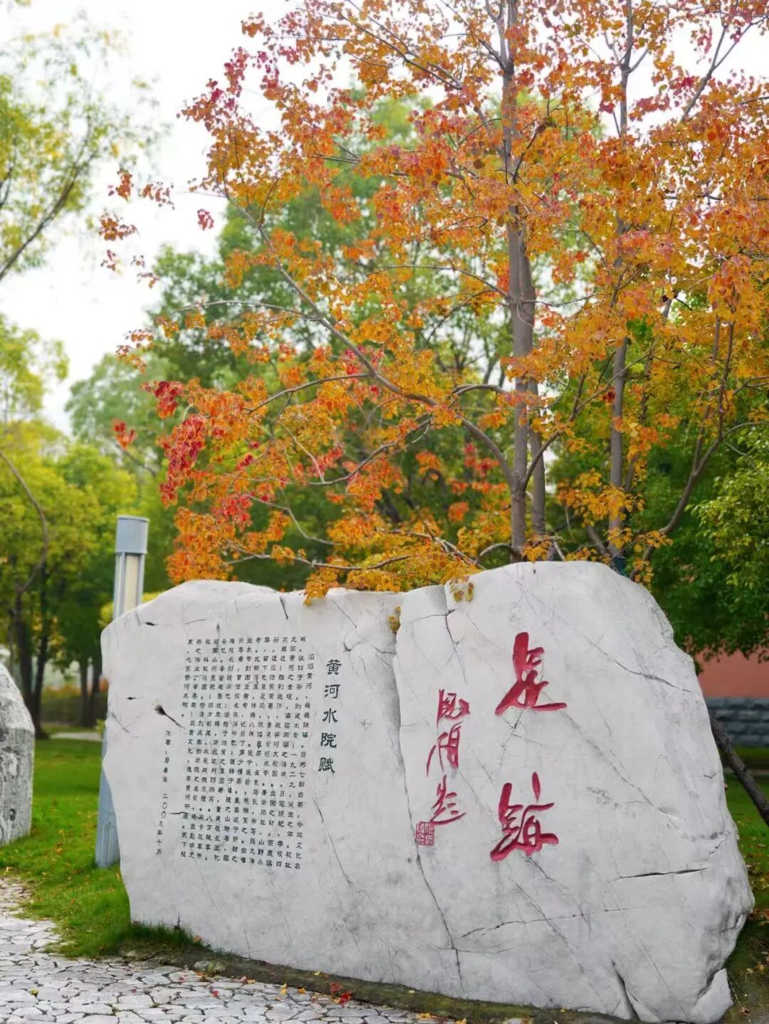 494949最快历史结果app