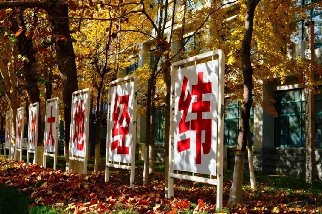 494949最快历史结果app