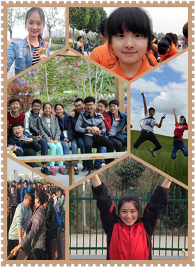 494949最快历史结果app