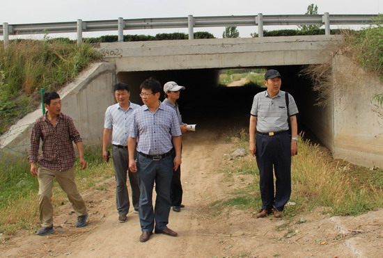 494949最快历史结果app