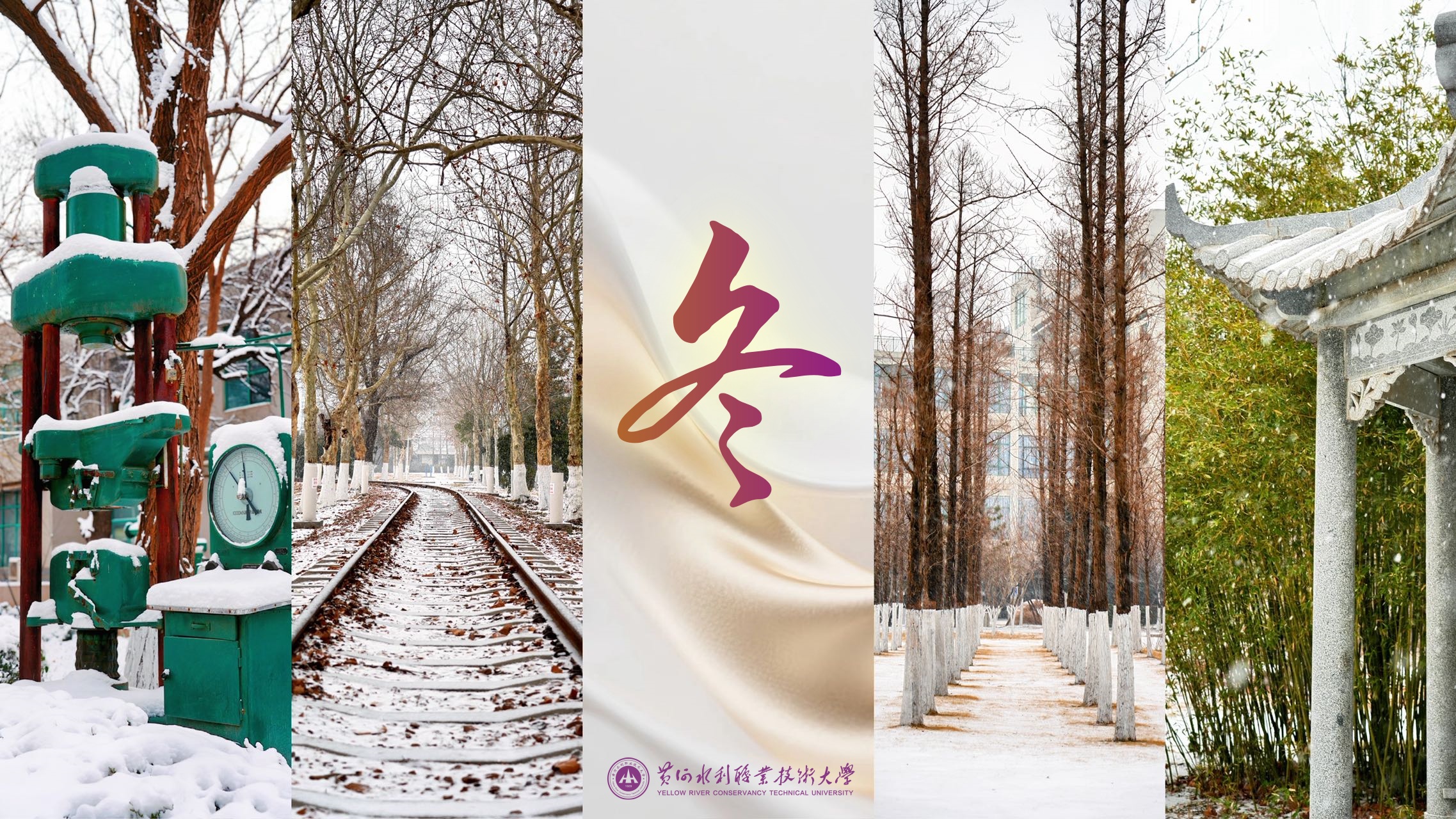 494949最快历史结果app