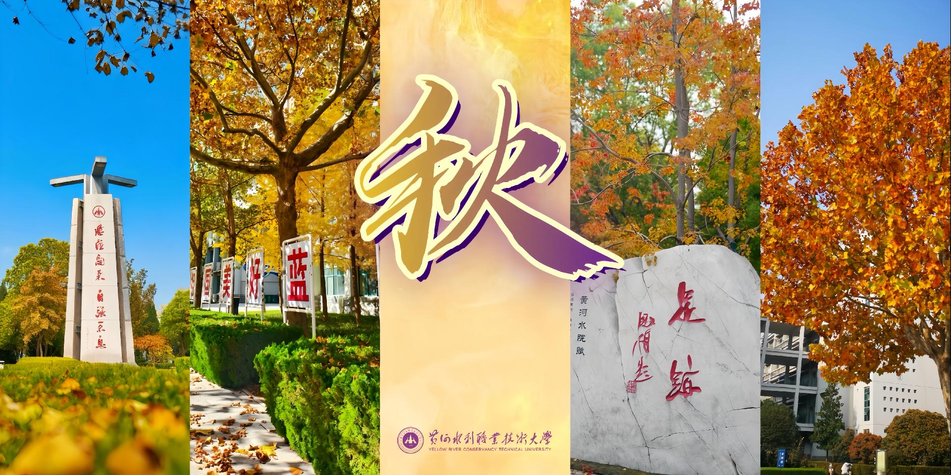 494949最快历史结果app