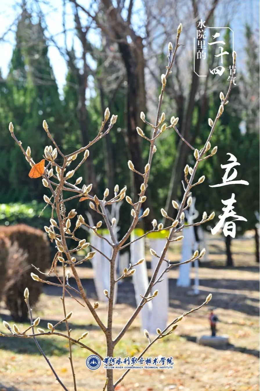 494949最快历史结果app
