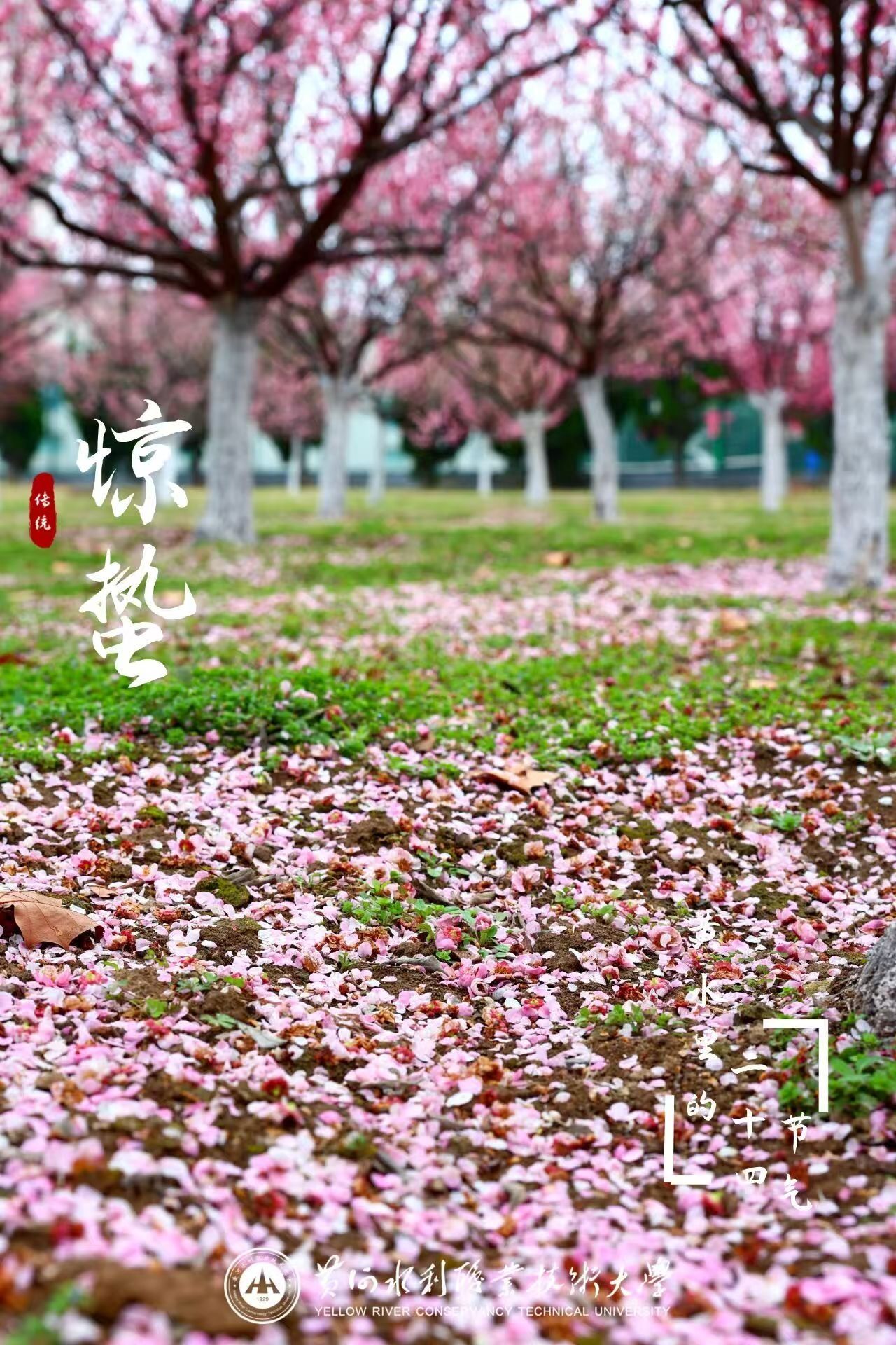 494949最快历史结果app