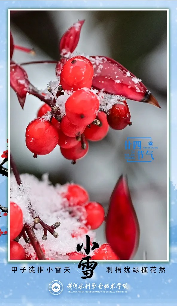 494949最快历史结果app