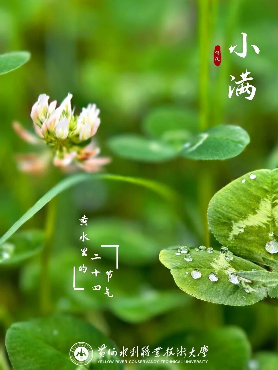 494949最快历史结果app