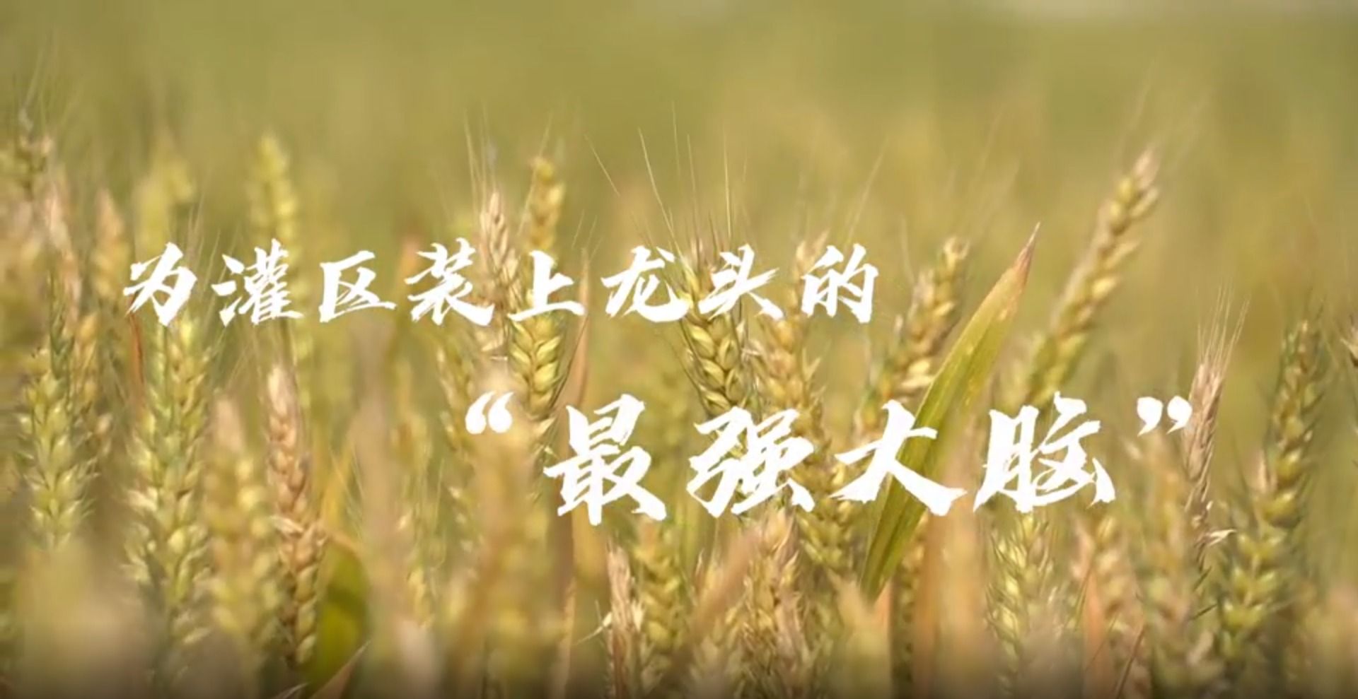 494949最快历史结果app