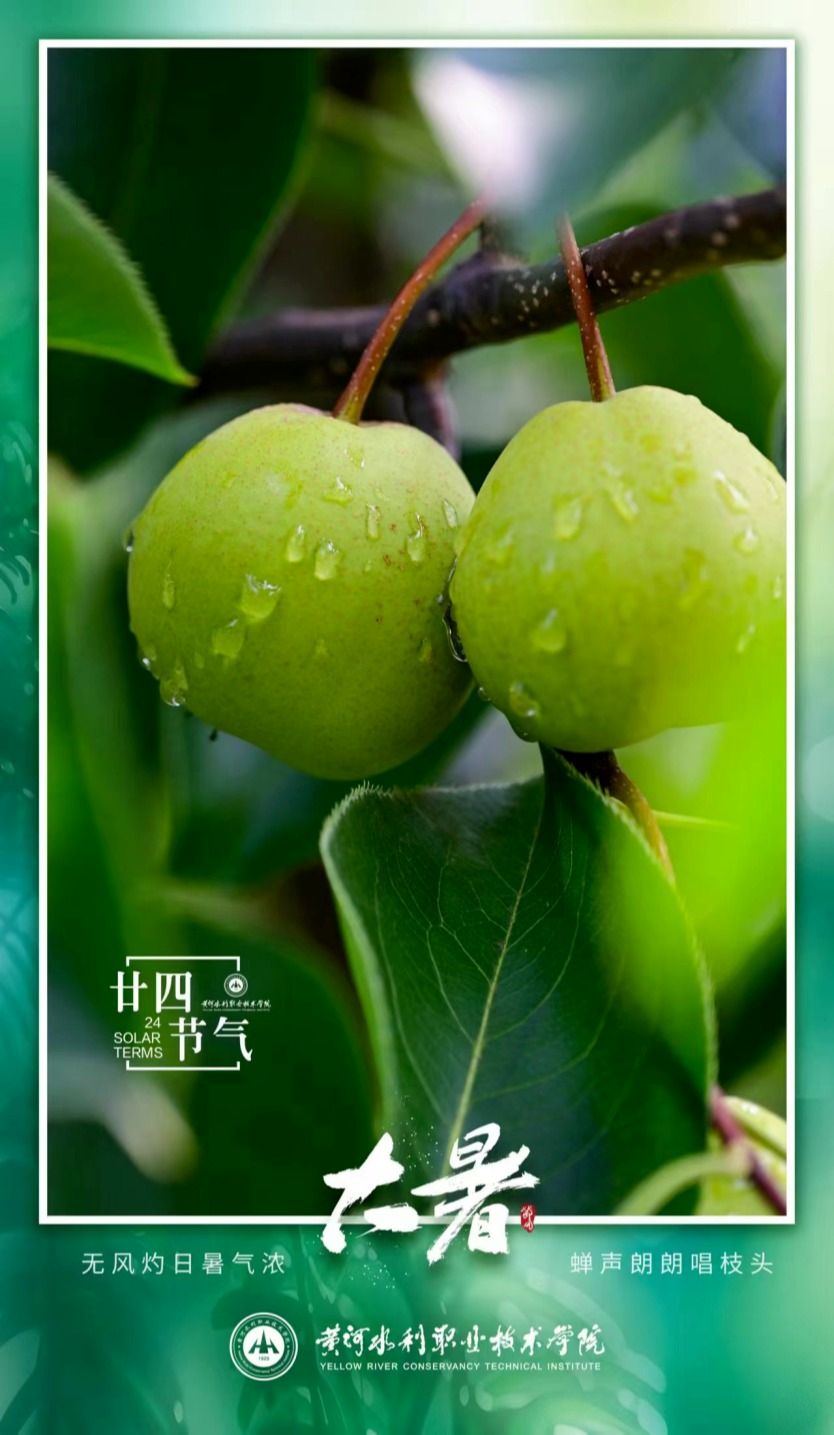 494949最快历史结果app
