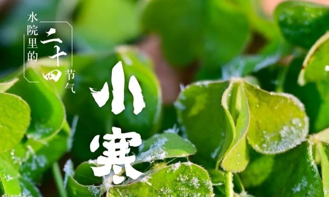494949最快历史结果app