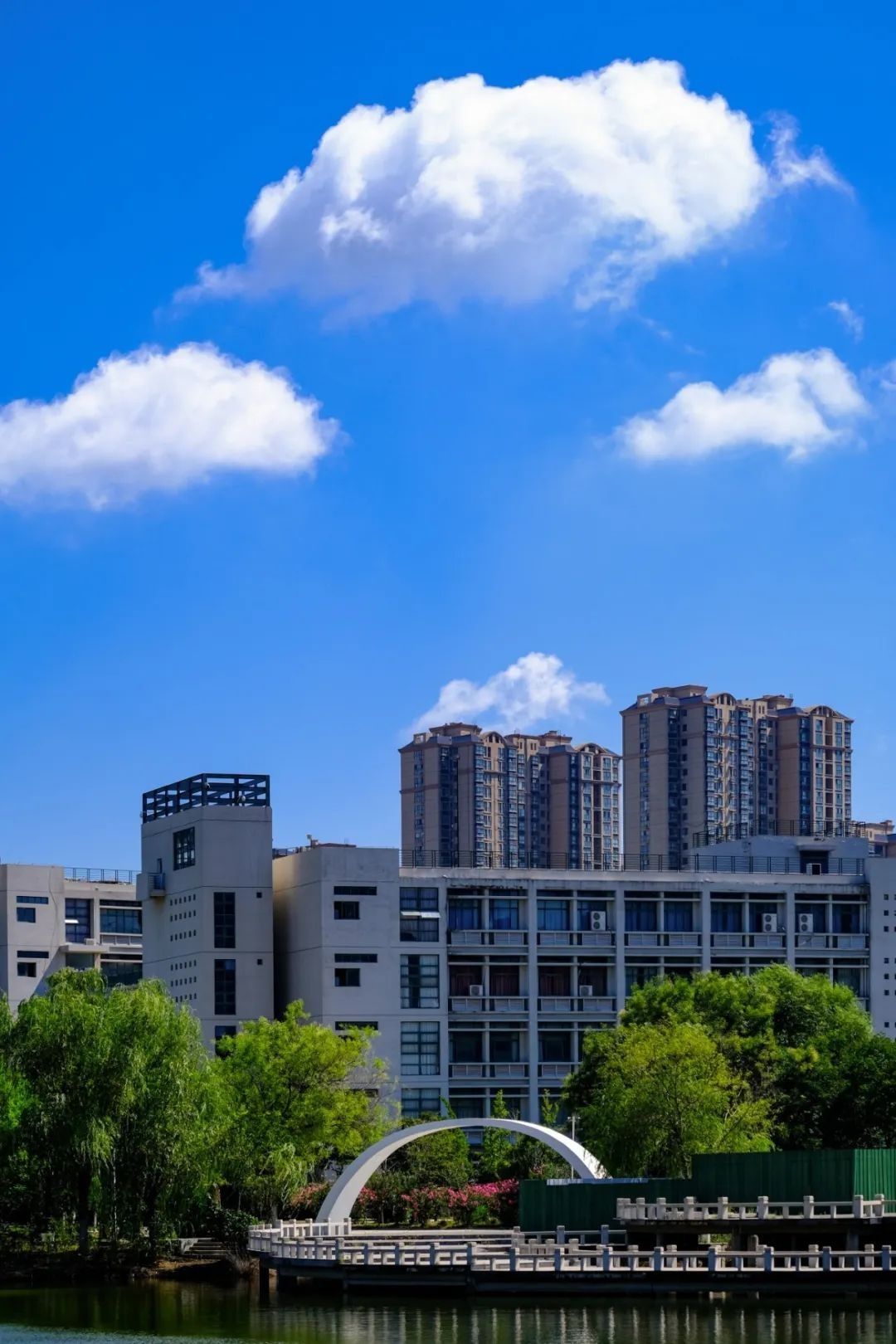 494949最快历史结果app