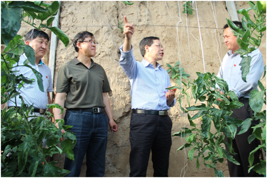 494949最快历史结果app