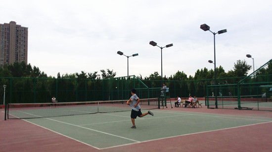 494949最快历史结果app