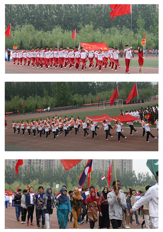 494949最快历史结果app