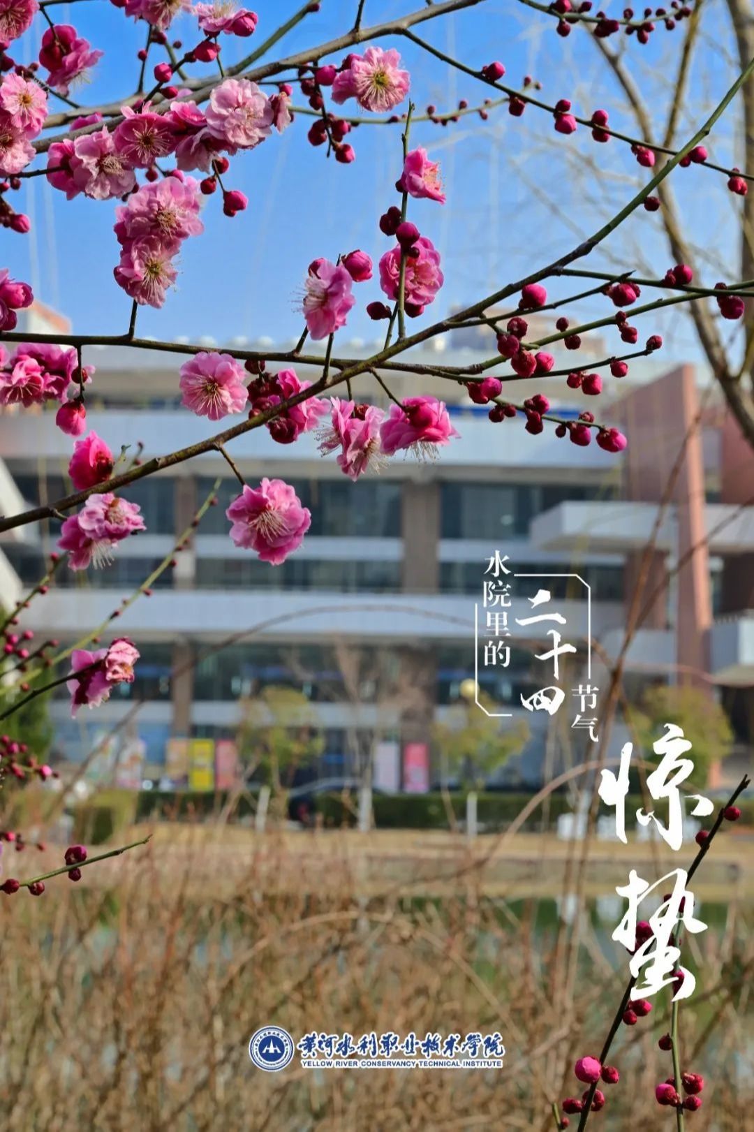 494949最快历史结果app