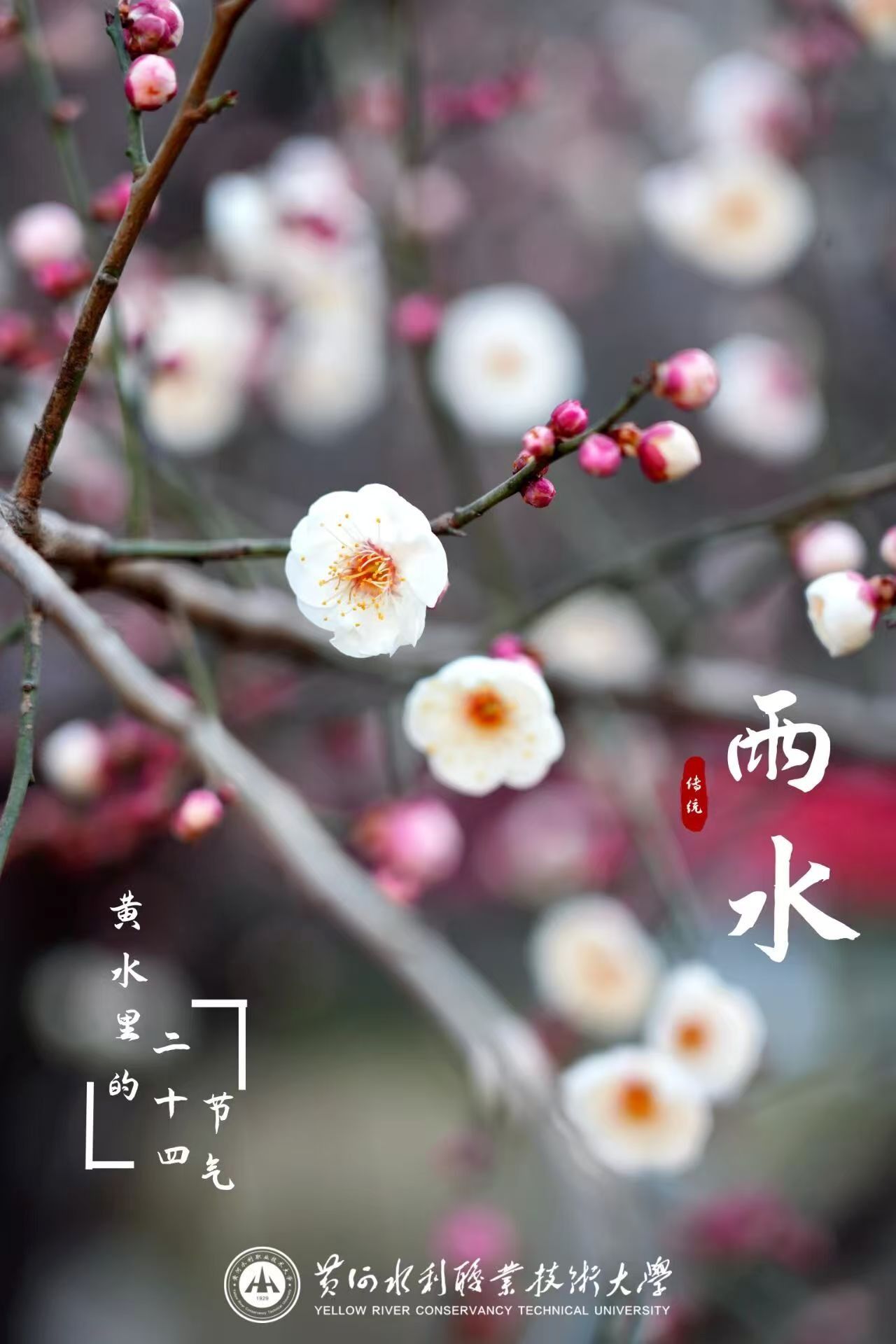 494949最快历史结果app