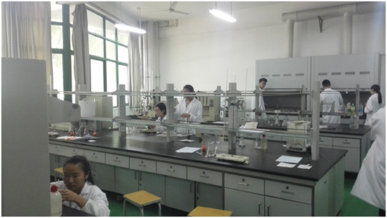 494949最快历史结果app