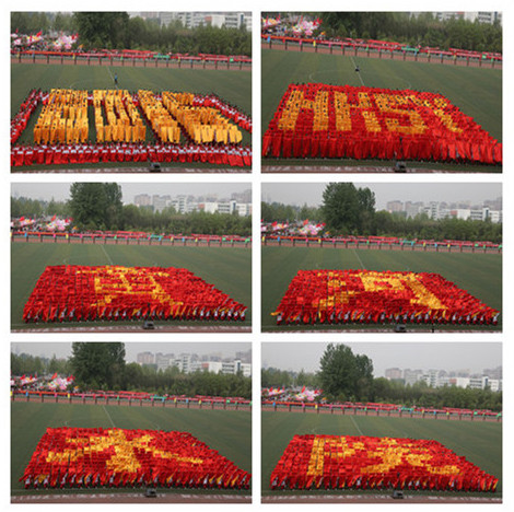 494949最快历史结果app