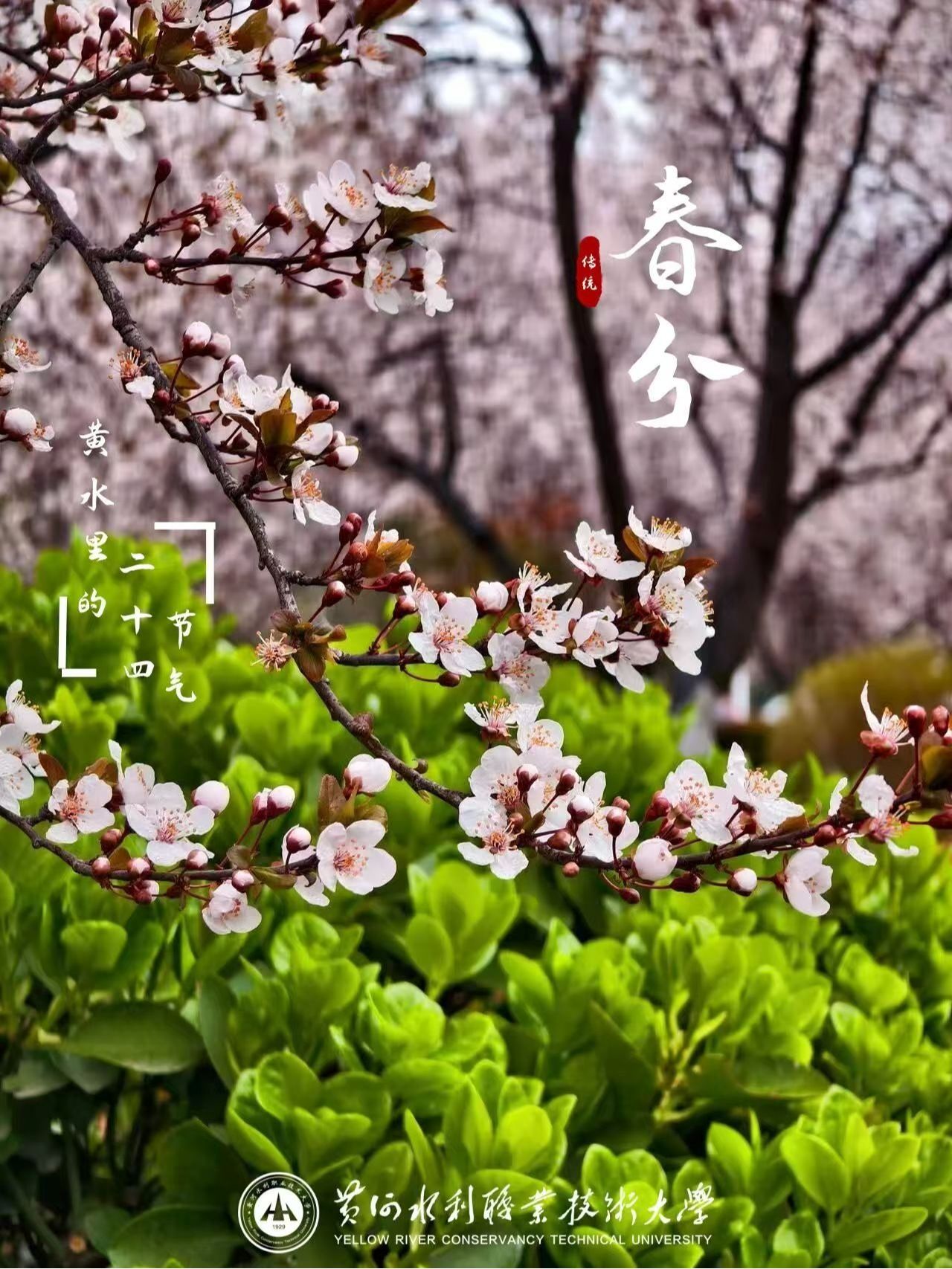 494949最快历史结果app