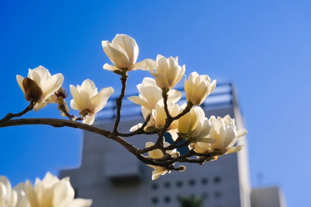 494949最快历史结果app