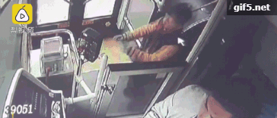 494949最快历史结果app