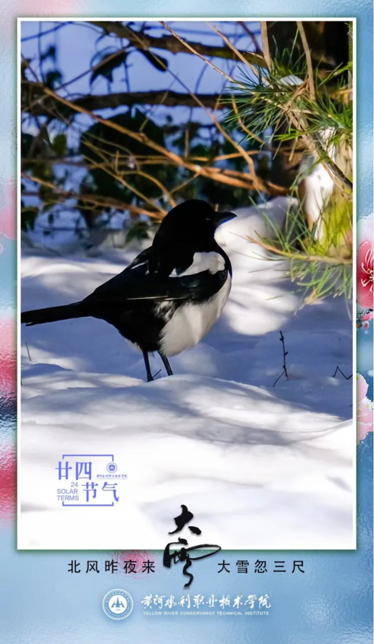 494949最快历史结果app
