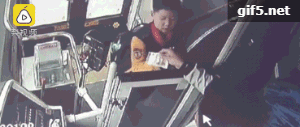 494949最快历史结果app