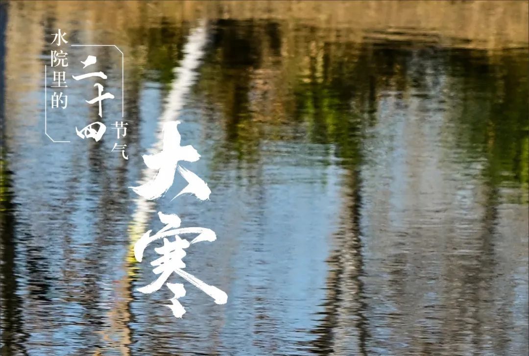 494949最快历史结果app