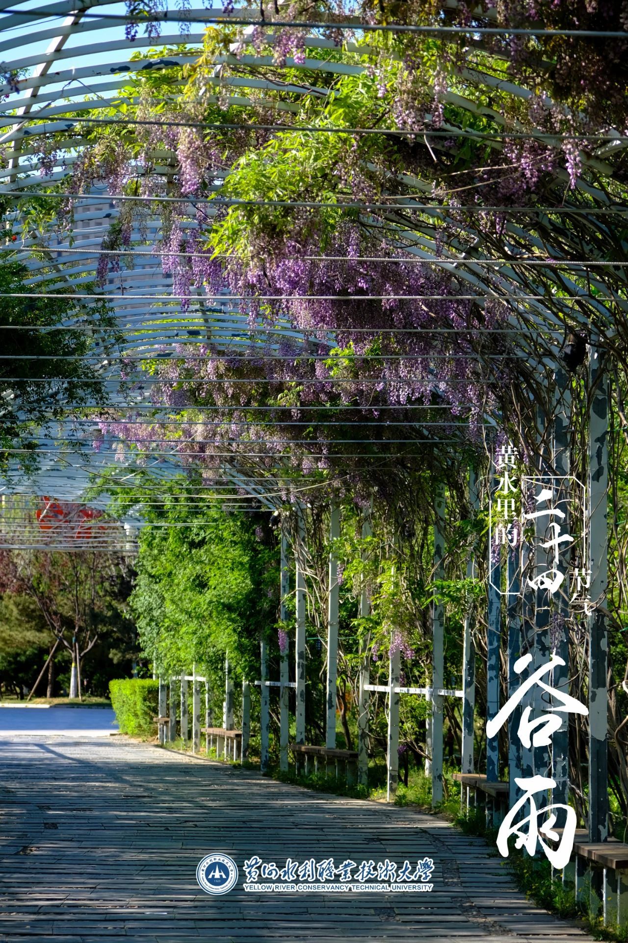 494949最快历史结果app
