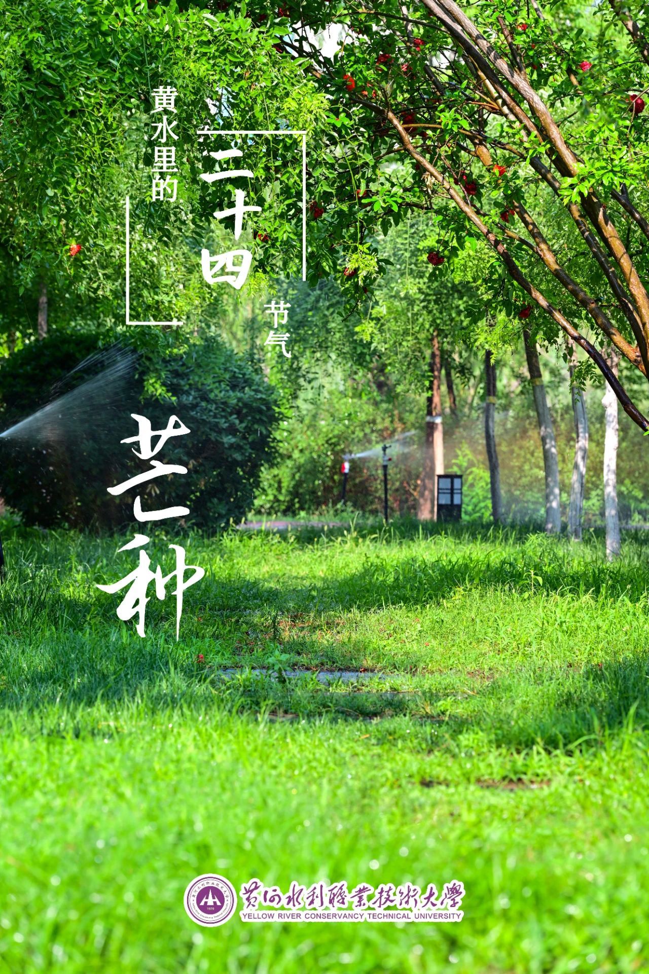 494949最快历史结果app