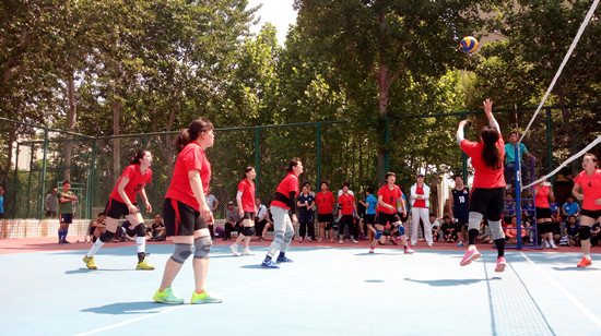 494949最快历史结果app