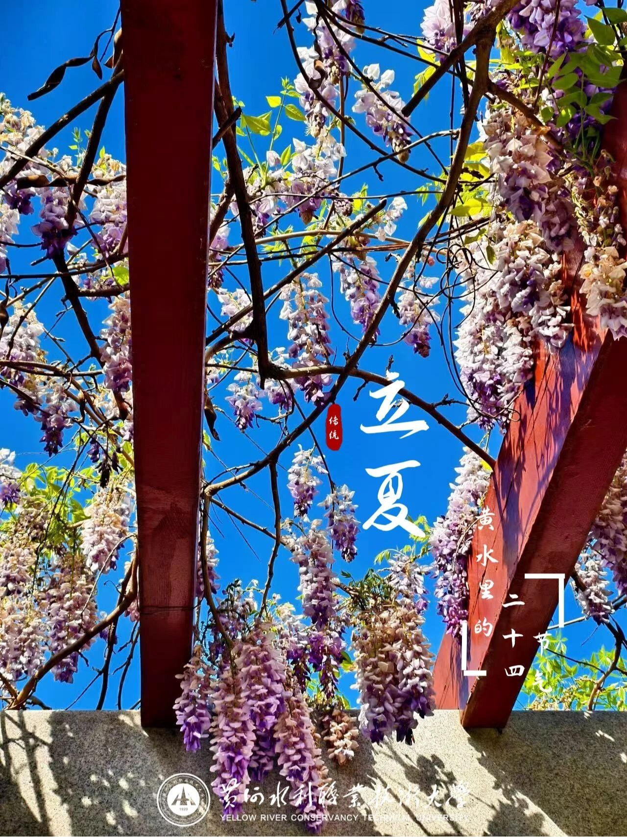 494949最快历史结果app