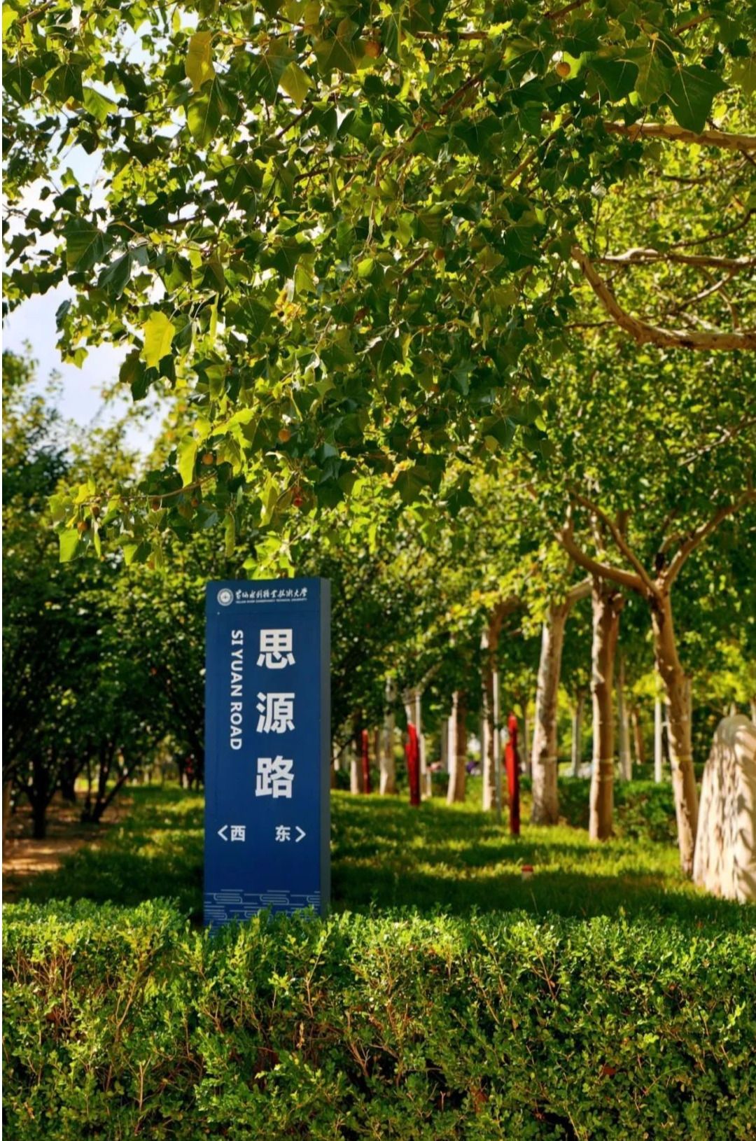 494949最快历史结果app