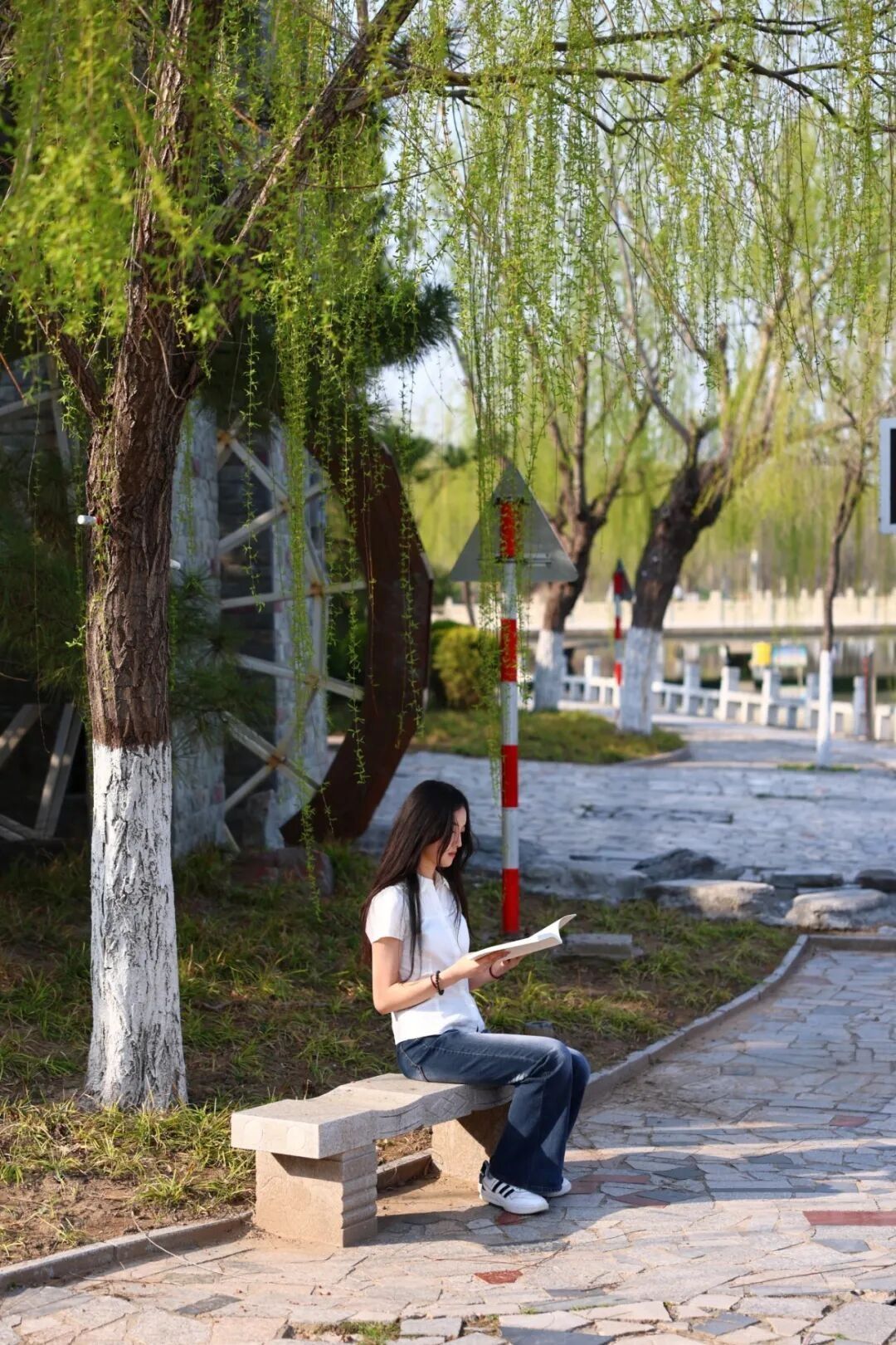 494949最快历史结果app